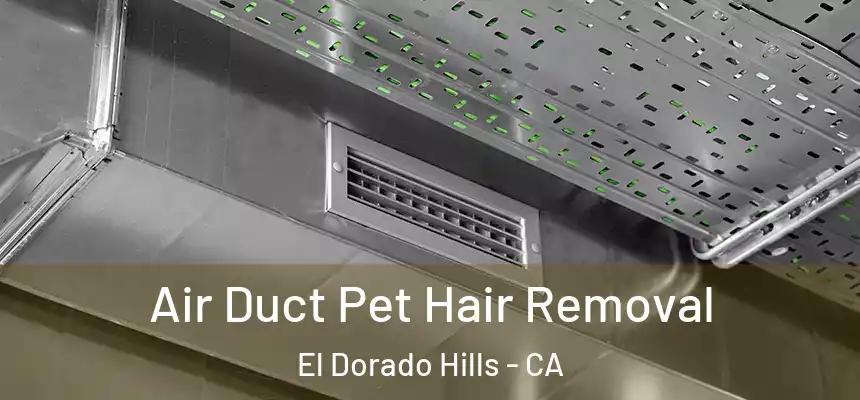 Air Duct Pet Hair Removal El Dorado Hills - CA