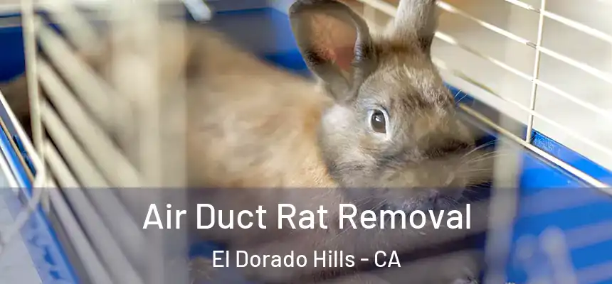  Air Duct Rat Removal El Dorado Hills - CA