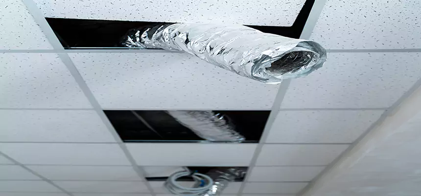 Our Air Duct Pet Hair Removal Services in El Dorado Hills, CA