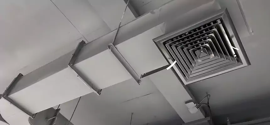 Restorative Allergy Relief Vent Cleaning – Coil, Blower & Housing Detail in El Dorado Hills