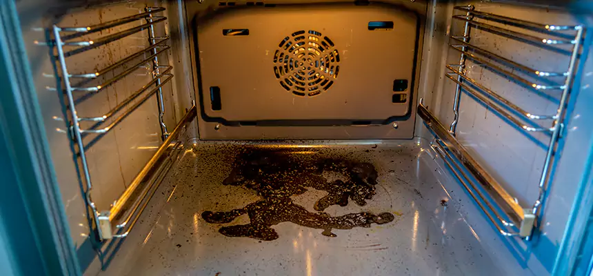 Our Dryer Vent Mold Cleaning Services in El Dorado Hills, CA