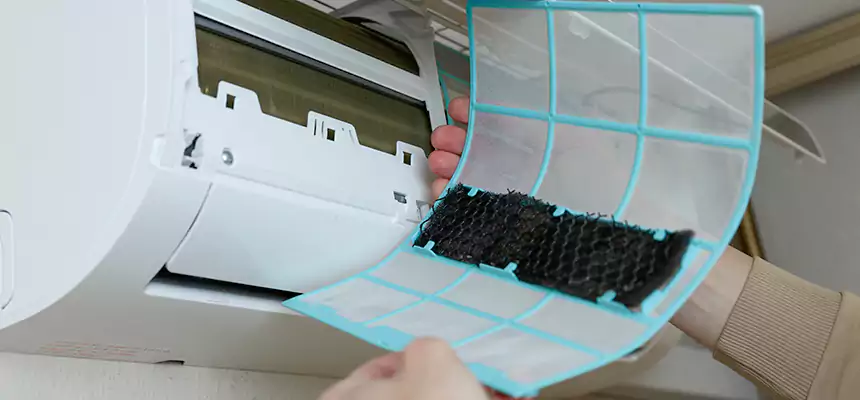 Gentle Ductwork Odor-Control Pet Dander Duct Cleaning in El Dorado Hills, CA