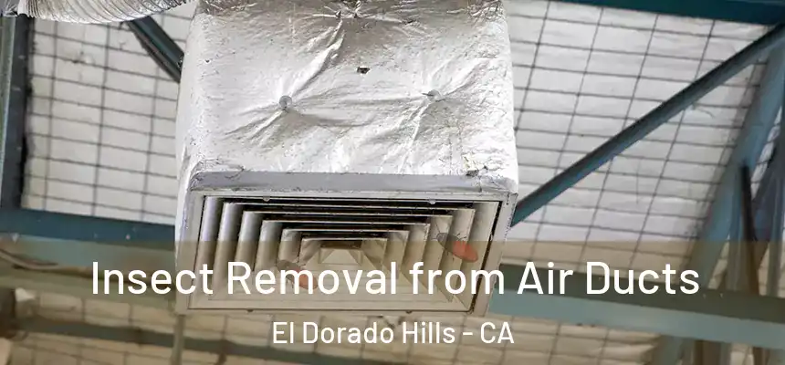 Insect Removal from Air Ducts El Dorado Hills - CA