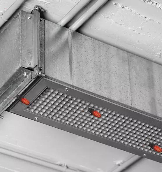 About Air Duct Cockroach Removal in El Dorado Hills, CA