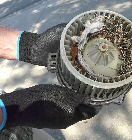 About Air Duct Mice Removal in El Dorado Hills, CA