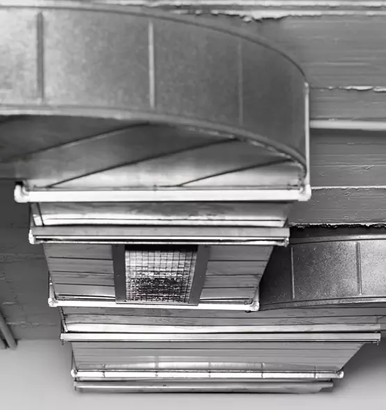 Professional Air Duct Pest Removal in El Dorado Hills, CA