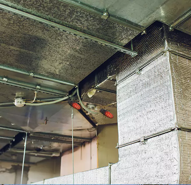 Why Homeowners & Businesses Trust Us in El Dorado Hills, CA?