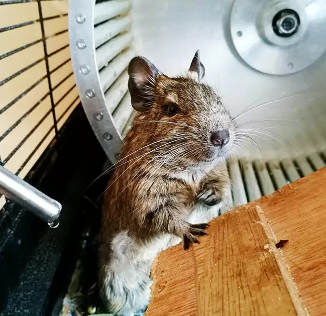 Why Homeowners & Businesses Trust Us El Dorado Hills, CA