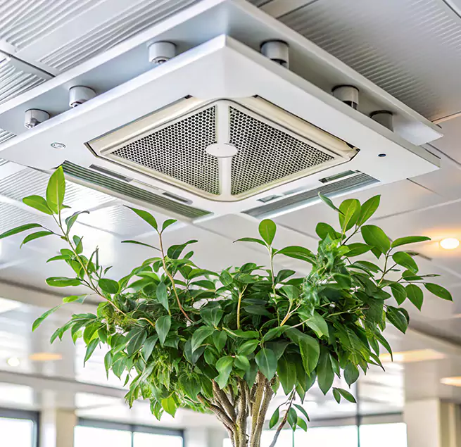 Why Homeowners & Businesses Trust Us in El Dorado Hills, CA?