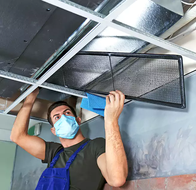 Why Homeowners Businesses Trust Us in El Dorado Hills, CA